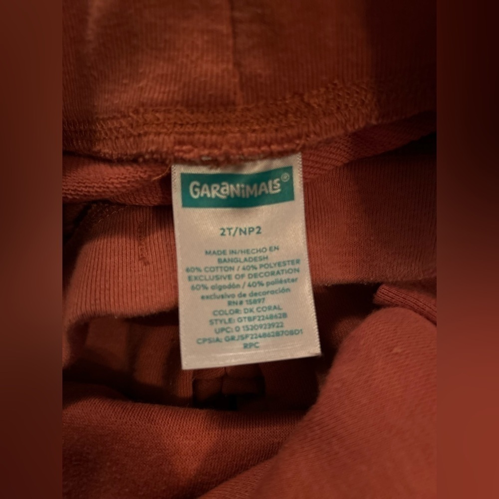 Garanimals dino sweatshirt and sweatpants, 24 months and 2T - Picture 5 of 5